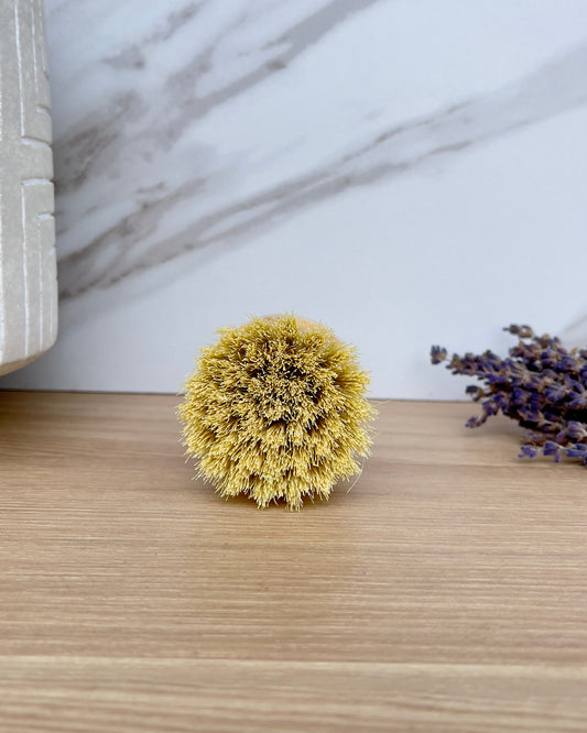 Bamboo Dish Brush